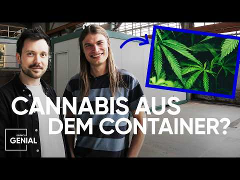 Cannabis anbauen auf 16 Quadratmetern | Einfach Genial
