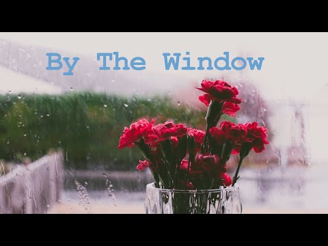 Mindless Paresthesia - By The Window