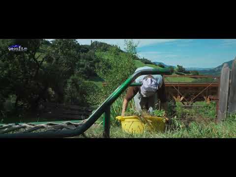 Nicht den Mut verlieren mit Frieda Gamper