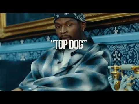 [FREE] Doggystyleeee X Bishop Snow X Snoop Dogg Type Beat 2025-Top Dog