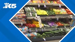 Download lagu Washington sues USDA over SNAP benefits mp3 Download lagu Washington sues USDA over SNAP benefits mp3