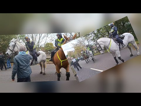 PATRIOTS ATTACKED SOUTHAMPTON 