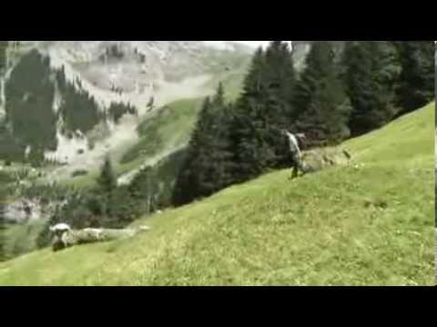 HEUEN AM ZIEBLÄ - ZOPF  2013 IN ENGELBERG