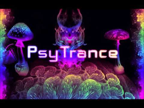 Audiotec vs Genetic Syndrom - The Secret of the Muse (Botanica RMX)