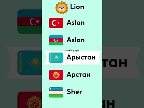 How do you say lion in your language? #language #turkish #kazakhstan #turkiclanguages #turkic