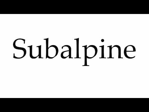 How to Pronounce Subalpine