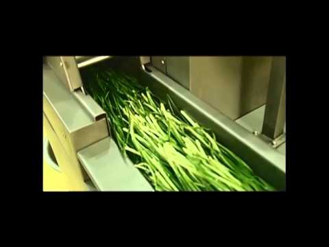 Pacific VC150 Vegetable Hi-Speed Cutter video thumbnail