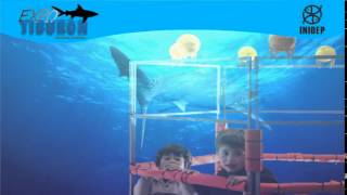 DIA 2 Expo Tiburon322