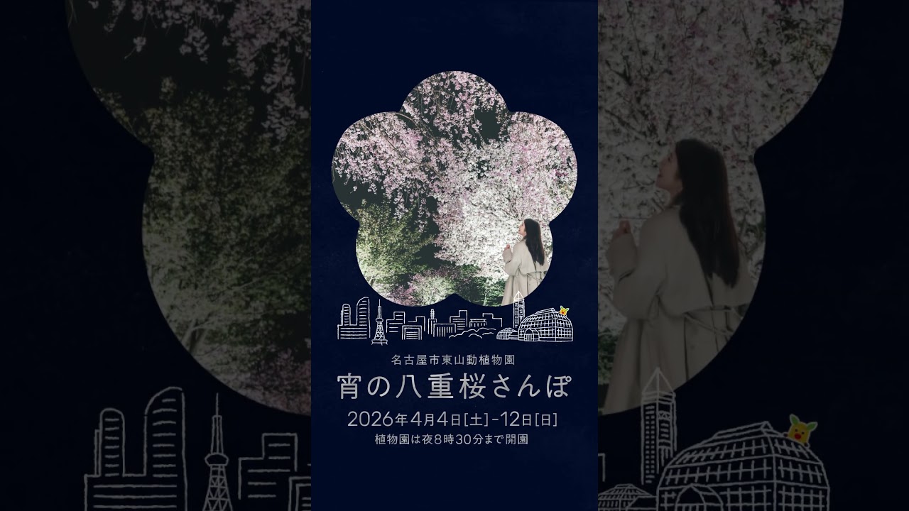 【東山動植物園公式】2026宵の八重桜さんぽPR動画