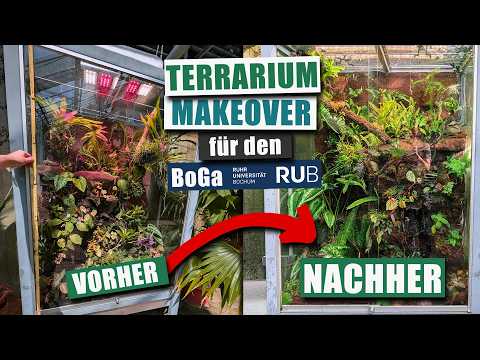 Terrarien Makeover für den Botanischen Garten Bochum!