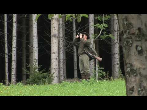 V Kortah moje srce živi