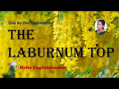 The laburnum top poem class 11 line by line explanation