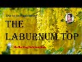 The laburnum top poem class 11 line by line explanation