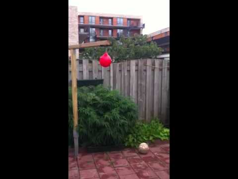 Yusuf Breda Noord Thang so do