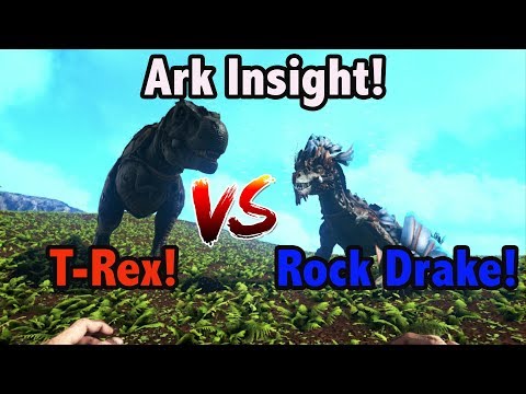 Ark Insight! - Rock Drake V.S T-Rex!