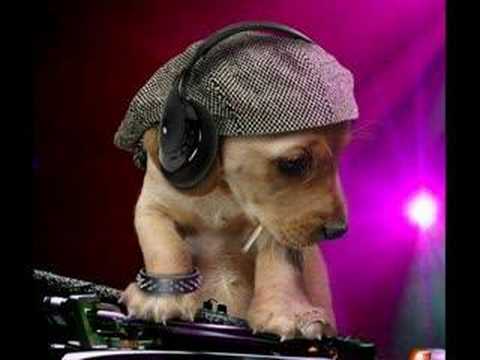 Dj Kantik Club Love Bubbling - izmir tiktak remix download