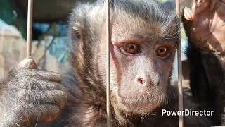 These baby's love their new living space