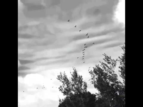 Bird of Heaven - Four Mile Portage & Gaelynn Lea