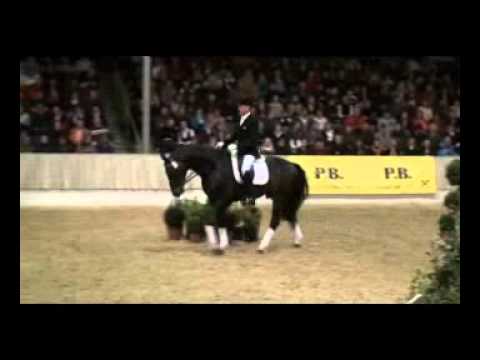 Benetton Dream Verden Jan 09