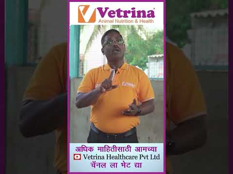 Vetrimix Close UP - A trusted brand of premix for close-up animals