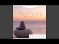 Perfect Stillness