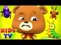 Bugs Bugs Bugs Song Creepy Crawly Bugs Nursery Rhymes Baby Songs Kids Tv