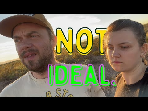 Did We Find Human Remains? Our First Days on the Homestead