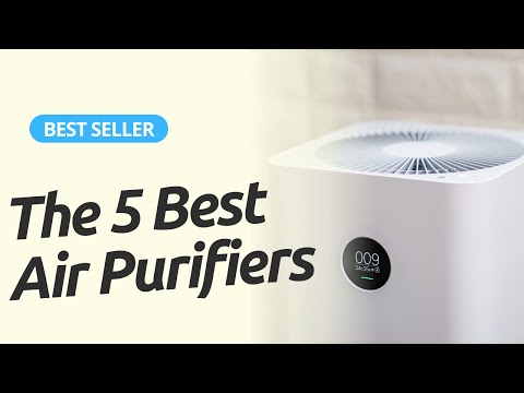 The 5 Best Air Purifiers of 2022