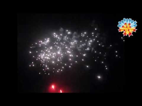 CB colorful dahlia + silver strobe peony (9714-80-100)