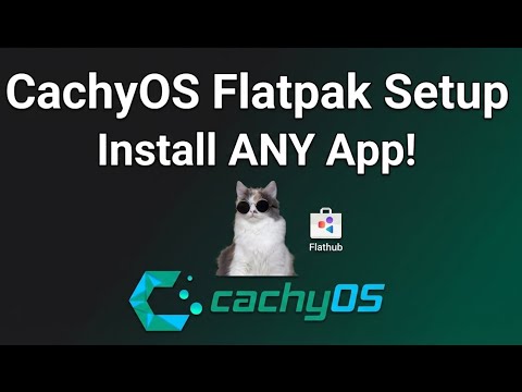 Install ANY App on CachyOS with Flatpak!