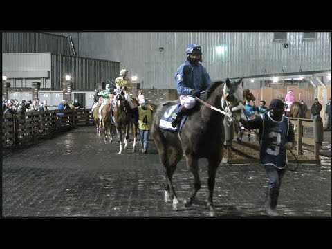 2020 Louisiana Million Futurity(RG1) Recap- StallioneSearch.com