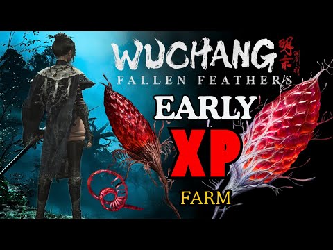 Best Early Game Red Mercury XP Farm  Wuchang Fallen Feathers 