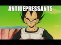 Vegeta S Big Wish