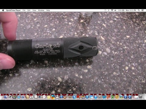 Great Group 50 Yards