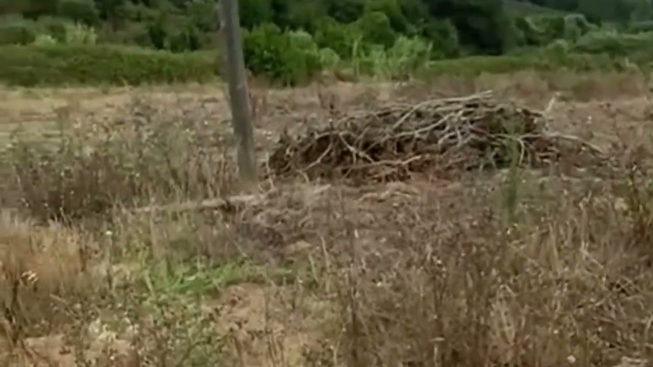 Vídeo do imóvel