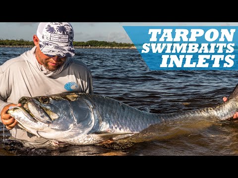Fishing Inlets for Tarpon on YouTube