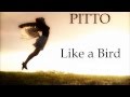 Pitto - Like a Bird 