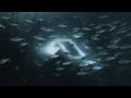 The Presets - It's Cool (Andrew Bayer & James Grant Remix)