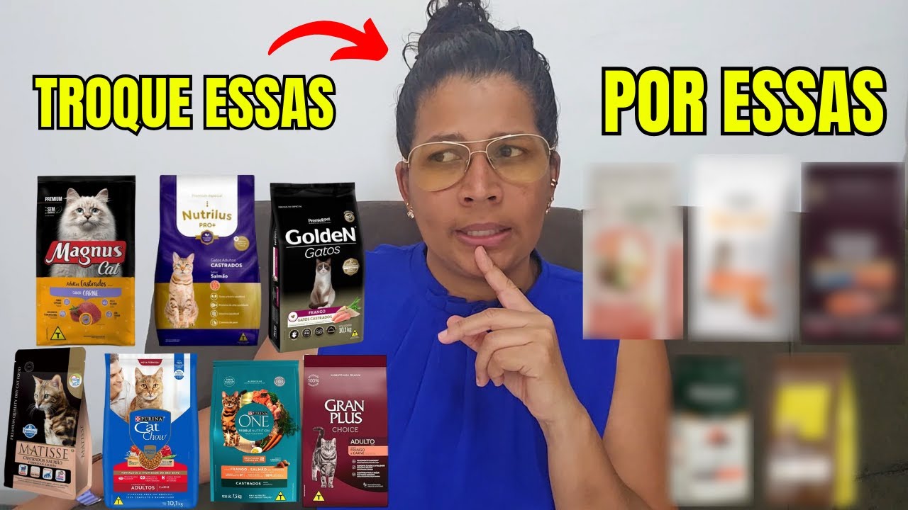 4 MELHORES Rações para Gatos - Faça escolha INTELIGENTE 🧠