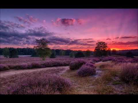 Ernst Mosch -  Am Abend auf der Heide