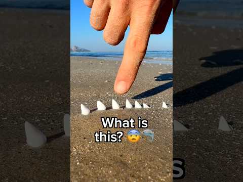 Look what I found on the beach! 😨