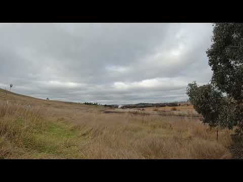 6029 Garratt running from Bathurst to Wimbledon, taken between Georges Plains and Wimbledon.