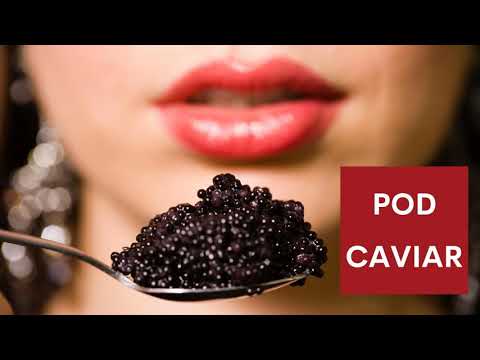 Pod Caviar S4E5 | Is Reincarnation Real? Nope!