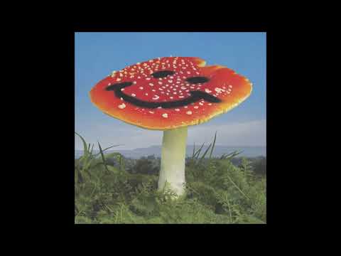 Nathan Melja & Flørist - Wonderland (Nathan Melja Version) [PARODIA01]