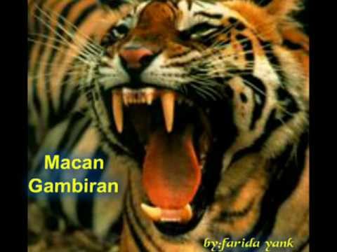 farida yank merindu{jadilah bintang dilangit}