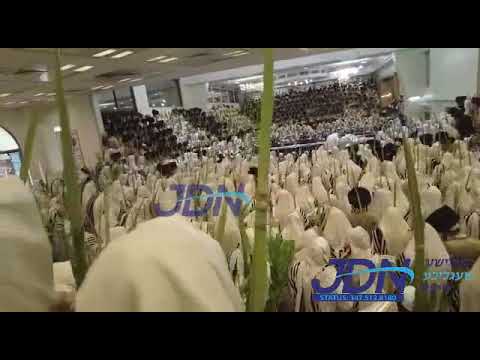 Hoshana Rabbah 5782 In Toldos Aharon