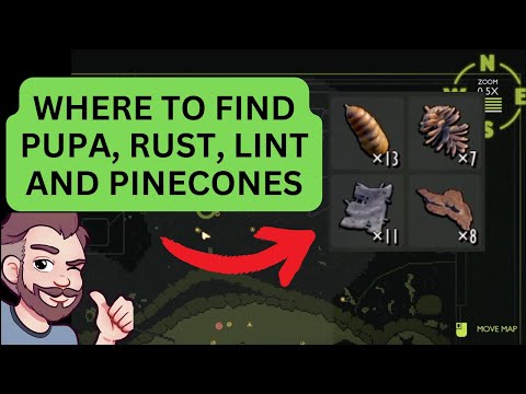 Where to Find Upper Yard Resources in Grounded (Pupa, Rust, Lint, Pinecone)