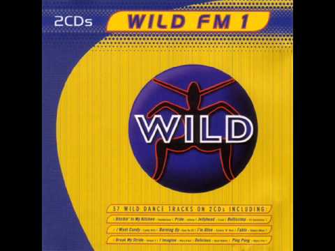 WILD FM VOLUME 1 - THE WILD MEGAMIX (DIEGO V)