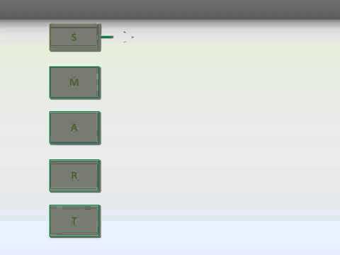 v znam managementu 1 4