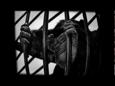 B&W -Sasa Lazarevic KORNI